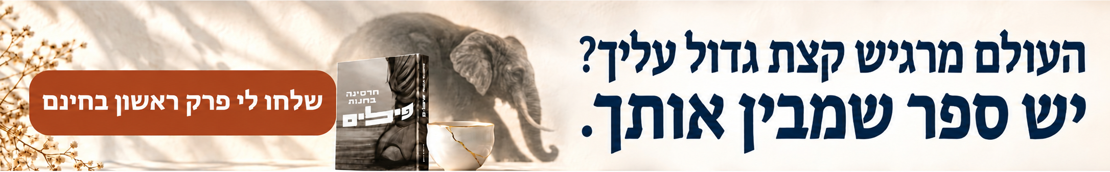 הספר חרסינה בחנות פילים